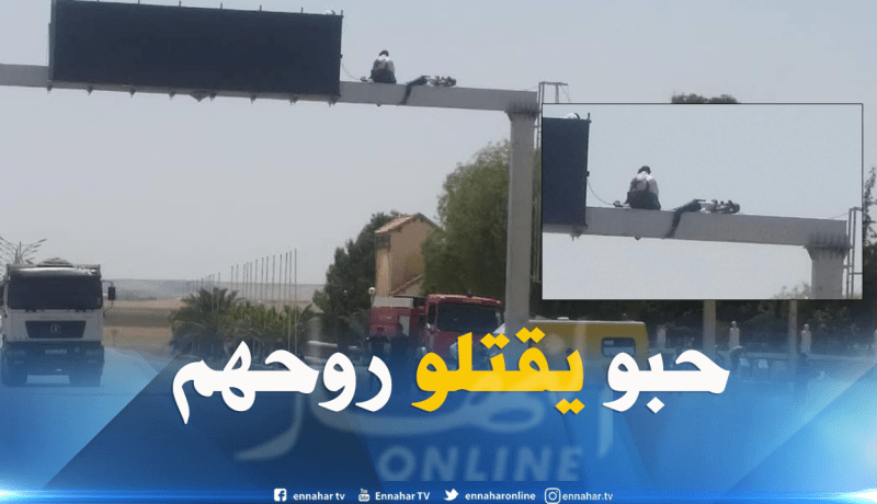 مقصيون من السّكن يهددون بالانتحار من فوق لافتة بتيسمسيلت