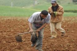 توزيع 52 عقد إمتياز فلاحي بورقلة