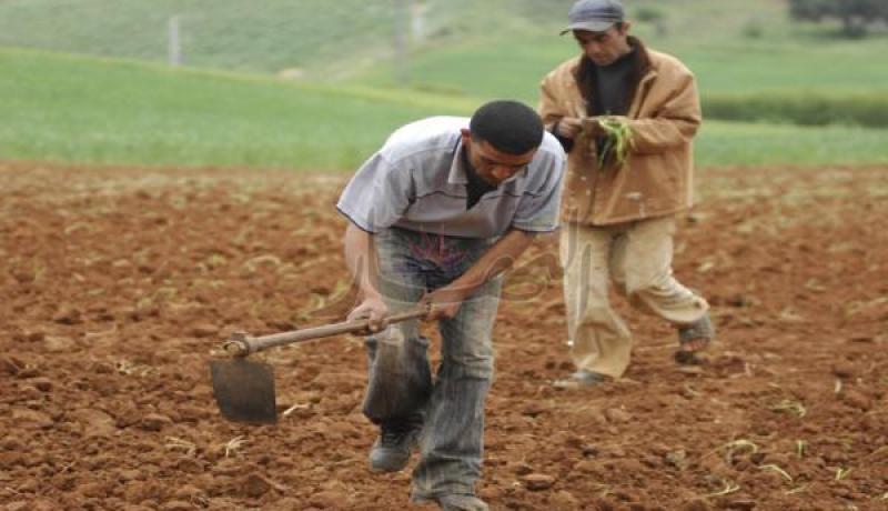 توزيع 52 عقد إمتياز فلاحي بورقلة