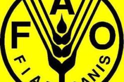 غرازيانو يعتبر ان عددا كبيرا من الدول الفقيرة لن يحقق اهداف الالفية