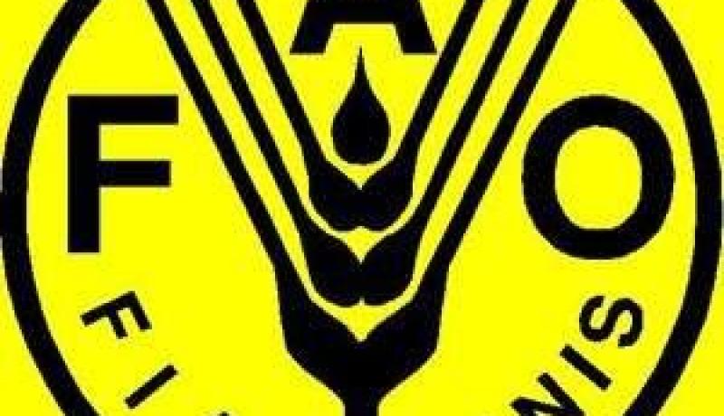 غرازيانو يعتبر ان عددا كبيرا من الدول الفقيرة لن يحقق اهداف الالفية