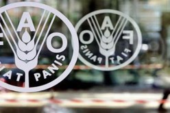 تقرير دولي يحذر من استمرار أزمة ارتفاع أسعار الغذاء