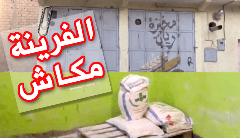 بالفيديو.. إضراب الخبازين بسبب ندرة في الفرينة وغلاء أسعارها بالبيض