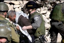 قوات الاحتلال تعتقل 11 فلسطينيا في الأراضي الفلسطينية المحتلة