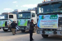 قافلة الإغاثة الجزائرية إلى غزة: “لا زلنا عالقين ومصر لم تؤذنا”