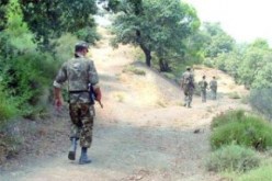 القضاء على أربعة إرهابيين بمنطقة واد اقرقور بغابة سيدي علي بوناب