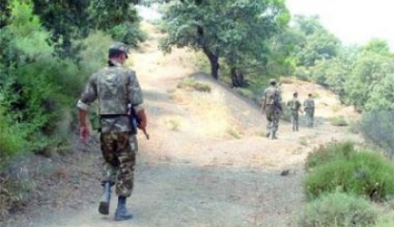 القضاء على أربعة إرهابيين بمنطقة واد اقرقور بغابة سيدي علي بوناب