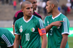 فيغولي: “مُستعّد للدفاع عن ألوان بلدي”