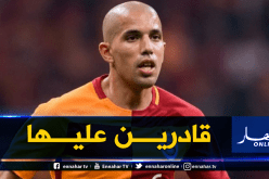 فيغولي: “حظوظنا في التأهل لازالت قائمة”
