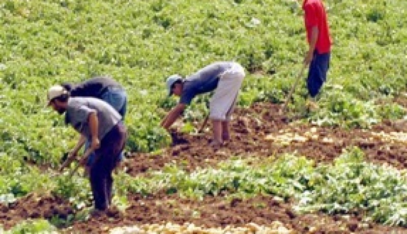 الحكومة:بزناسية على قائمة الفلاحين المعنيين بمسح الديون