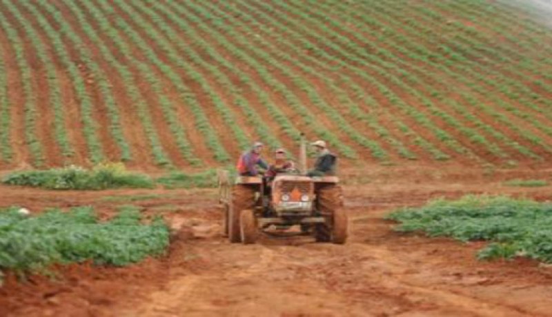 400 الف هكتار  لإنشاء مستثمرات فلاحية جديدة عبر التراب الوطني