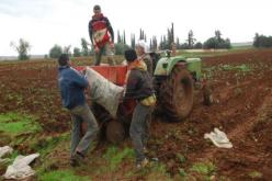 الولايات المتحدة مستعدة لمساعدة الجزائر في المجال الفلاحي