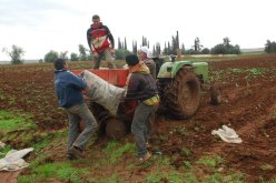 100 مليار تعويضات للفلاحين المتضررين من الثلوج