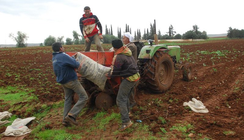 100 مليار تعويضات للفلاحين المتضررين من الثلوج