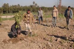 أكثر من 8 ألاف استفادوا من قرض الرفيق و مليون آخر في قاعة الانتظار