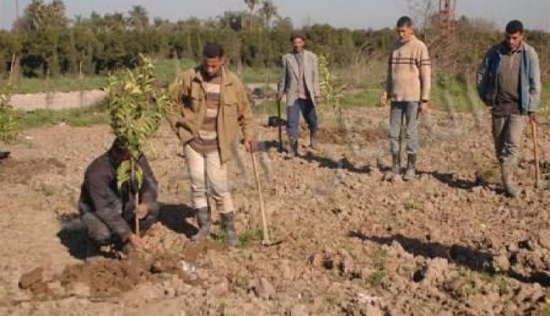 أكثر من 8 ألاف استفادوا من قرض الرفيق و مليون آخر في قاعة الانتظار