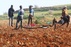 إصدار أكثر من 400 عقد للتنازل عن الأراضي الفلاحية بالبويرة