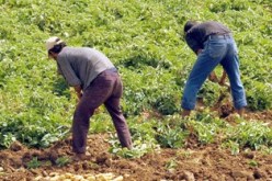 عليوي وولد الحسين لـ “النهار”: “ستمسح ديون كافة الفلاحين باستثناء المؤسسات الاقتصادية”