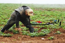 ''تجريد كل فلاح لا يفي بتعهّده من مستثمرته الفلاحية''