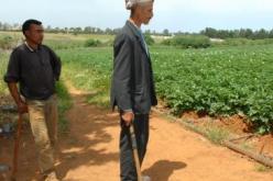 6 آلاف و8 آلاف دينار دعما عن كل قنطار بقوليات للفلاحين بدءا من الموسم المقبل