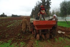 بوتفليقة يعلن اليوم عن مسح شامل لديون الفلاحين