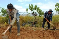 بدر تكشف عن مهزلة في تنفيذ قرار مسح الديون