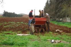 سعر القنطار الواحد للأسمدة وصل إلى 1 مليون سنتيم