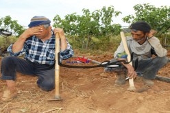 100 ‬مليون قروضا ميسرة للفلاحين المتضرّرين من الكوارث وويلات الإرهاب