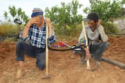 أكثر من 670 مليون د.ج لتعويض الفلاحين المتضررين من الكوارث الطبيعية بأم البواقي