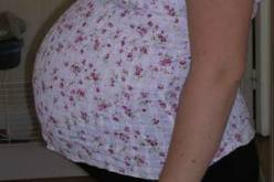 الدكتور محمد نذير:”لا خطر على الحامل من الصوم..وصاحبة التوأم لابد أن تفطر”