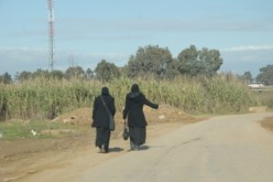 مشاكل بالجملة في انتظار حلول البلدية