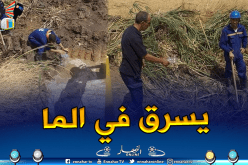 بالصور.. فلاح بالبرج يسقي محاصيله من مياه مخصصة للمواطنين