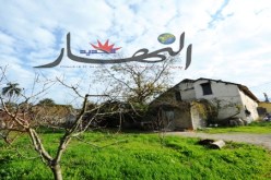 رشيد بن عيسى للنهار:‬ ‮‬تسوية وضعية القاطنين بأحواش‮ ''‬الكولون‮'' ‬قريبا