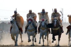 الزهوانية في خطاب الرئيس