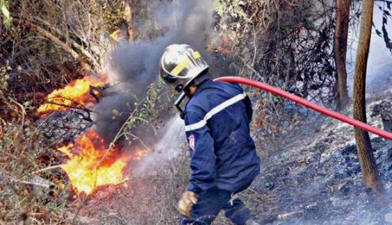 تسجيل 678 حريق بالغابات على المستوى الوطني منذ 1 جوان