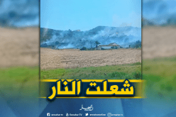 نشوب حريق بغابات أميزور ببجاية
