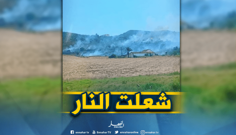 نشوب حريق بغابات أميزور ببجاية