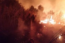 الحرائق تتلف 140 هكتارا خلال 24 ساعة الماضية عبر 15 ولاية