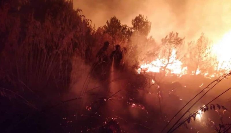 الحرائق تتلف 140 هكتارا خلال 24 ساعة الماضية عبر 15 ولاية