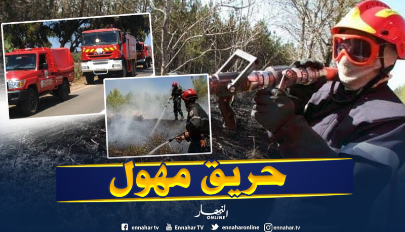 بالصور.. حريق يلتهم قرابة هكتارين من الأحراش وأشجار الصنوبر بالجلفة