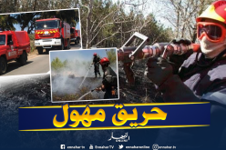 جلسة شواء تأتي على مساحات شاسعة من أشجار الأرز الأطلسي بباتنة