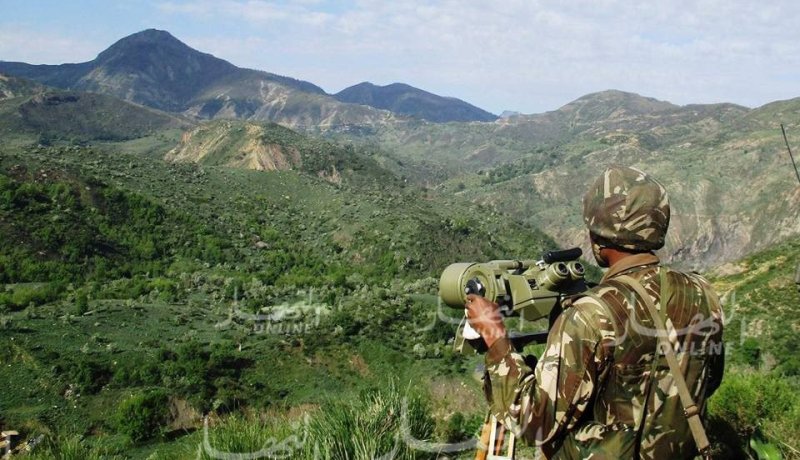 توقيف 4 عناصر دعم للإرهاب وتدمير 7 مخابئ بثلاث ولايات