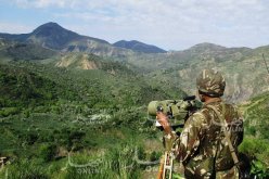 تدمير ثلاثة مخابئ للجماعات الإرهابية بتيبازة