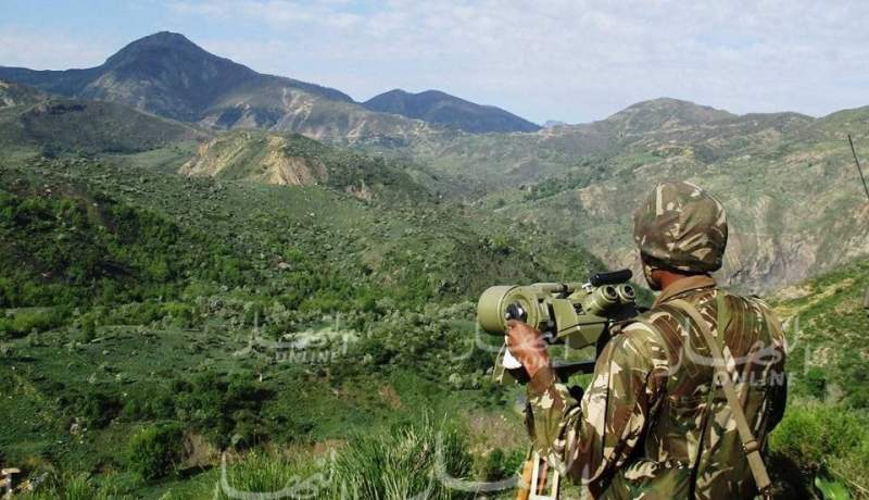 تدمير ثلاثة مخابئ للجماعات الإرهابية بتيبازة