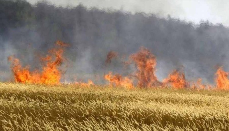 حريق يتلف 24 رأس غنم و700 حزمة تبن في سطيف