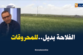 خبير إقتصادي: الفلاحة بديل للمحروقات ولهذا لابد من زيادة الإمكانيات الفلاحية