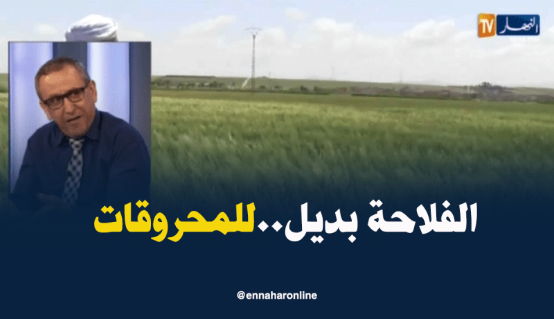خبير إقتصادي: الفلاحة بديل للمحروقات ولهذا لابد من زيادة الإمكانيات الفلاحية
