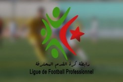 حصريا.. البرنامج الكامل للمحترف الأول والثاني في موسمهما الجديد