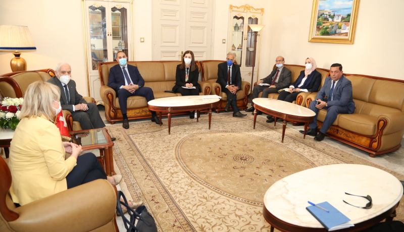 السينا.. تفعيل مجموعات الصداقة البرلمانية بين الجزائر وسويسرا