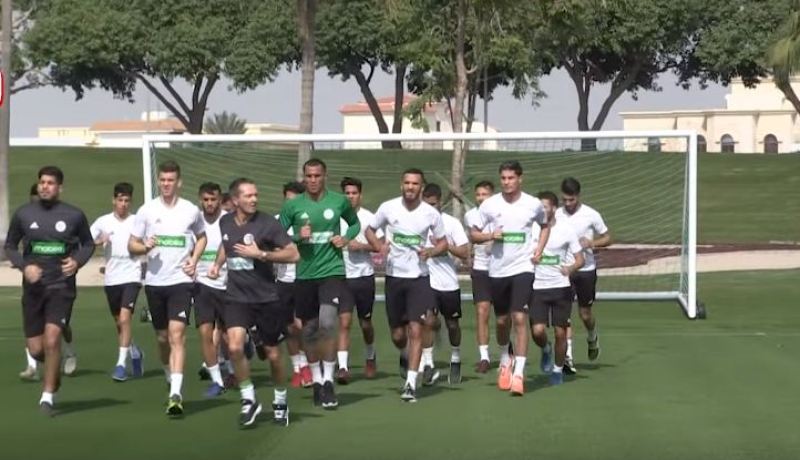 بالفيديو.. الخضر يباشرون التحضيرات الجدية لودية قطر
